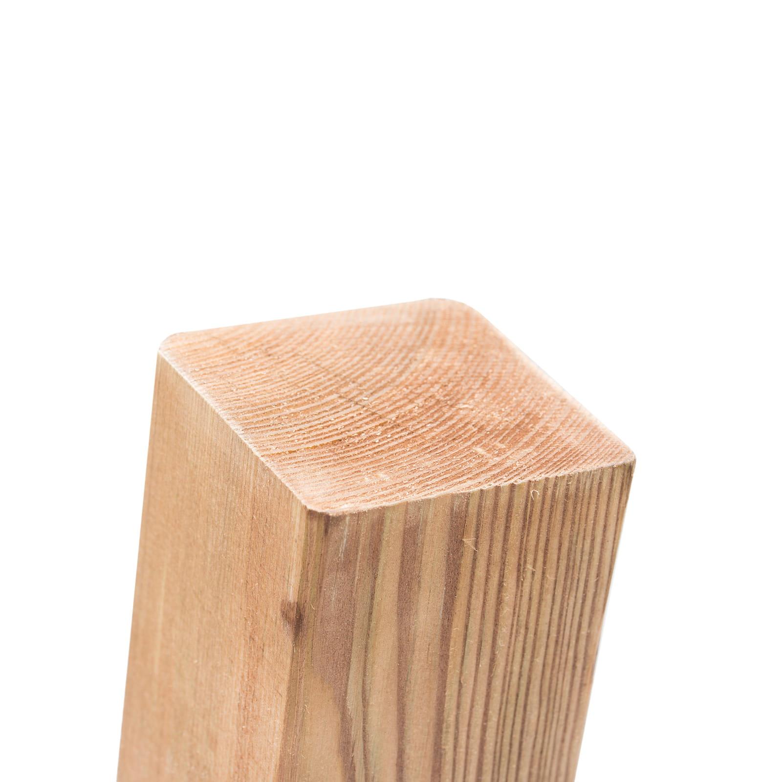 Zaunpfosten Flachkopf