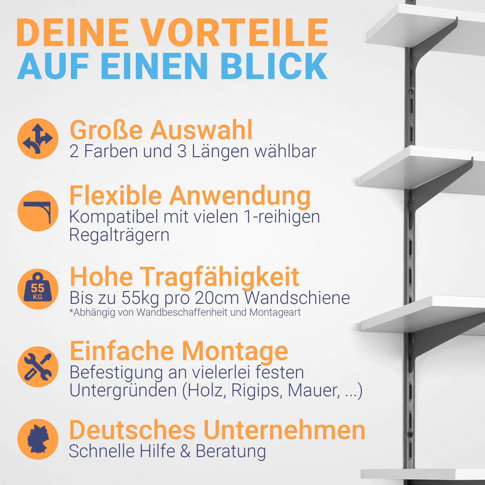 Wandschiene 1-reihig - Farbe: Anthrazit - Länge: 100 cm - Stückzahl: 10