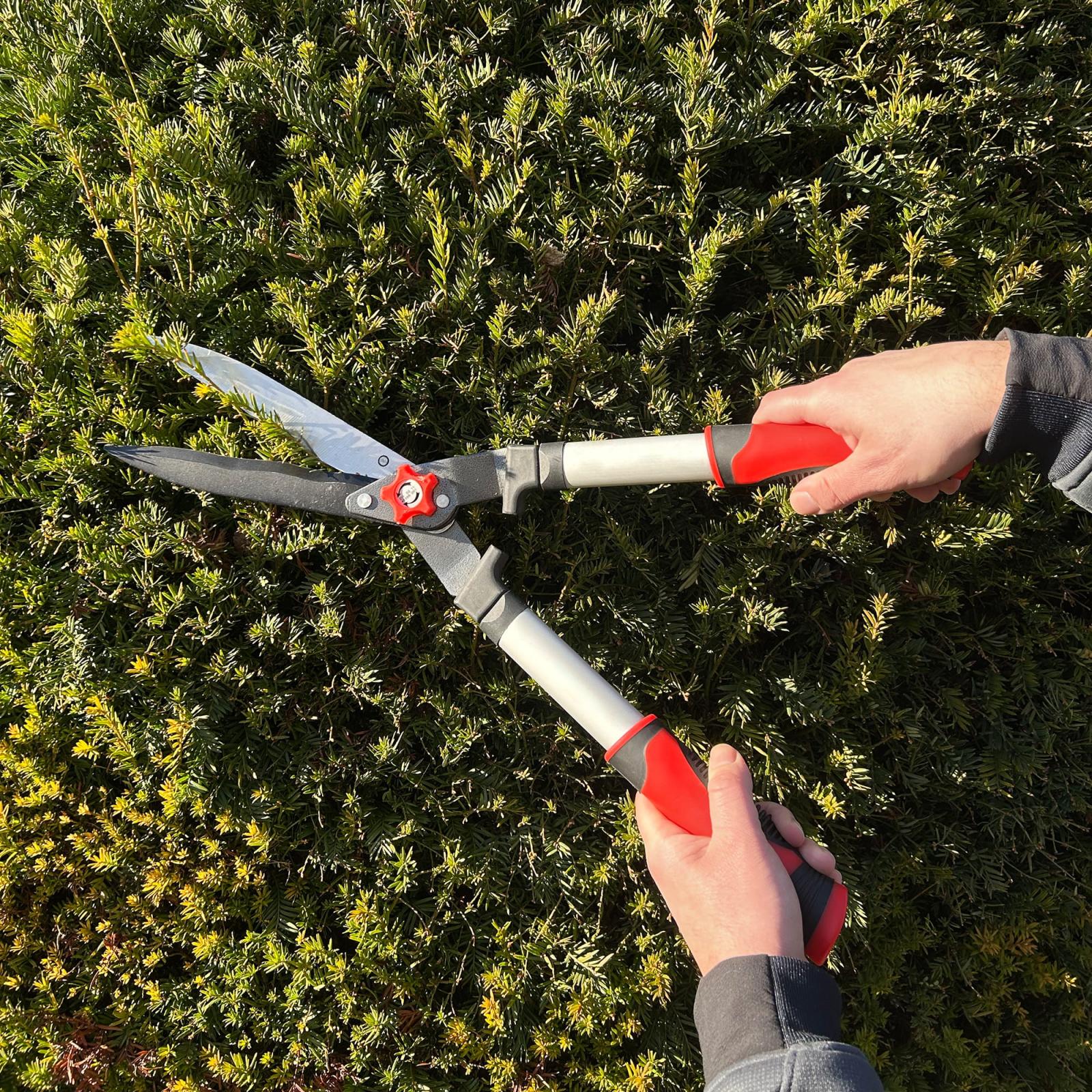 Gartenschere - Auswahl: 3er Set