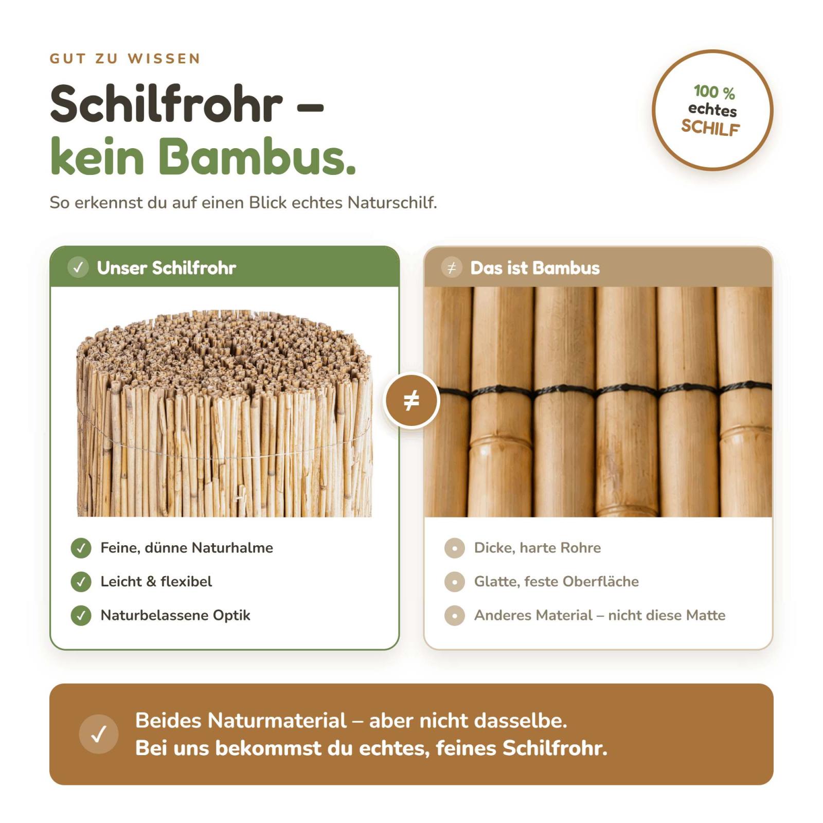 Reed mat - Height: 100 cm - Length: 600 cm